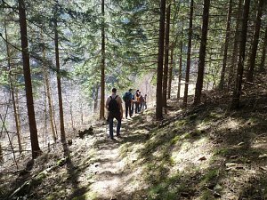 Harzwanderung