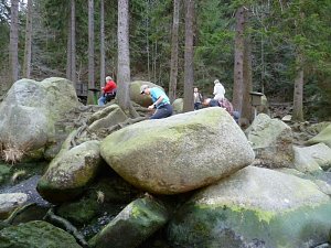 Harzwanderung