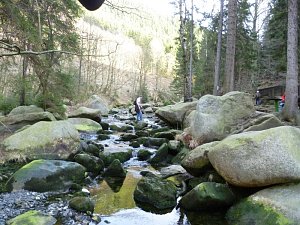 Harzwanderung