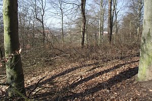Für das Gehege werde eine Konzeption erarbeitet, wie das mit dem Stadtpark geschah. Eine baldige Umsetzung wäre wünschenswert. Bis dahin, davon zeugt auch dieses Foto, bleibt noch viel zu tun.