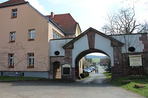 Urwald von morgen?