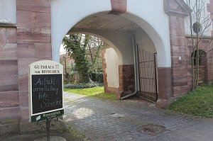 Urwald von morgen?