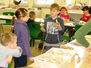 Bienenforscher in Harztor