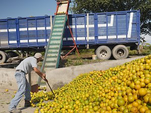 Fairtrade entt&auml;uscht