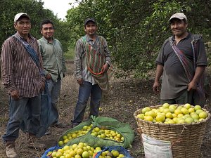 Fairtrade entt&auml;uscht