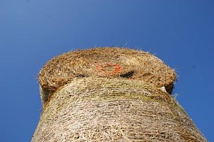 Es "ostert" in Obergebra