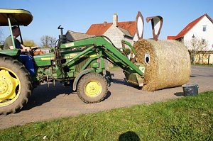 Es "ostert" in Obergebra
