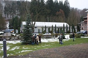 Der Weihnachtsbaum steht