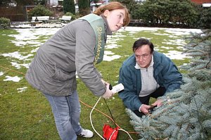 Der Weihnachtsbaum steht