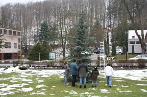 Der Weihnachtsbaum steht