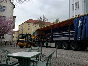 Kirschenbl&uuml;te angeliefert