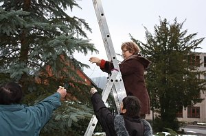 Der Weihnachtsbaum steht