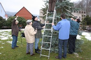 Der Weihnachtsbaum steht