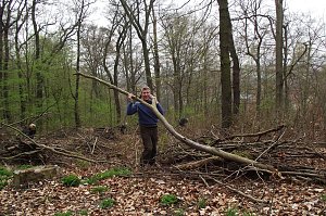 Ein Bild  f&uuml;r das Album : OB Klaus Zeh schleppte schwere &Auml;ste.