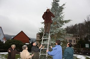 Der Weihnachtsbaum steht