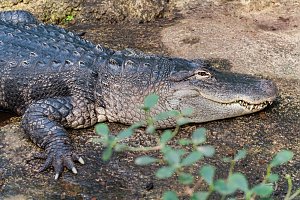 Besuch im Leipziger Zoo