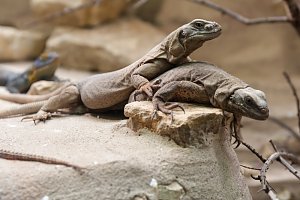 Besuch im Leipziger Zoo