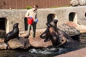 Besuch im Leipziger Zoo