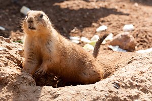 Besuch im Leipziger Zoo