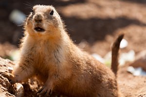 Besuch im Leipziger Zoo
