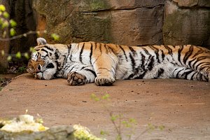 Besuch im Leipziger Zoo