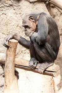 Besuch im Leipziger Zoo