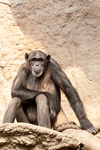 Besuch im Leipziger Zoo