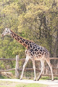 Besuch im Leipziger Zoo