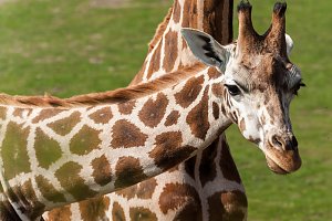 Besuch im Leipziger Zoo