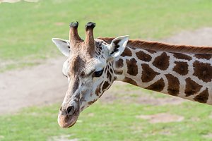 Besuch im Leipziger Zoo