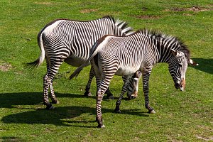 Besuch im Leipziger Zoo