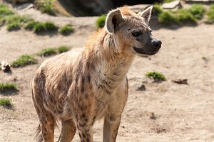 Besuch im Leipziger Zoo
