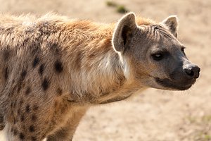 Besuch im Leipziger Zoo