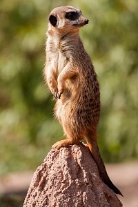 Besuch im Leipziger Zoo
