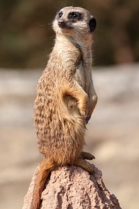 Besuch im Leipziger Zoo
