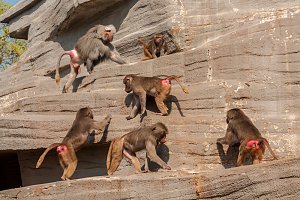 Besuch im Leipziger Zoo