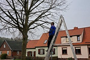 Neustadt r&auml;umt auf