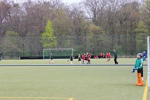 Lob vom Hockey-Bund