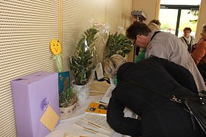 Ansturm auf die Schule