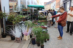 Ansturm auf Ostermarkt