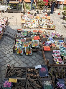 Sonntag in Sondershausen