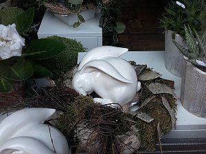 Sonntag in Sondershausen
