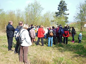 Wildkräuterwanderung im Südharz