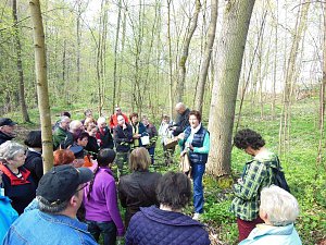 Wildkräuterwanderung im Südharz