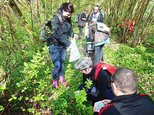 Wildkräuterwanderung im Südharz