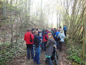 Wildkräuterwanderung im Südharz