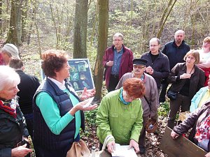 Wildkräuterwanderung im Südharz