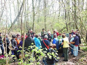 Wildkräuterwanderung im Südharz