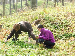 Wildkräuterwanderung im Südharz