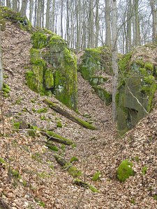 Im Braunsteinh&auml;user Revier